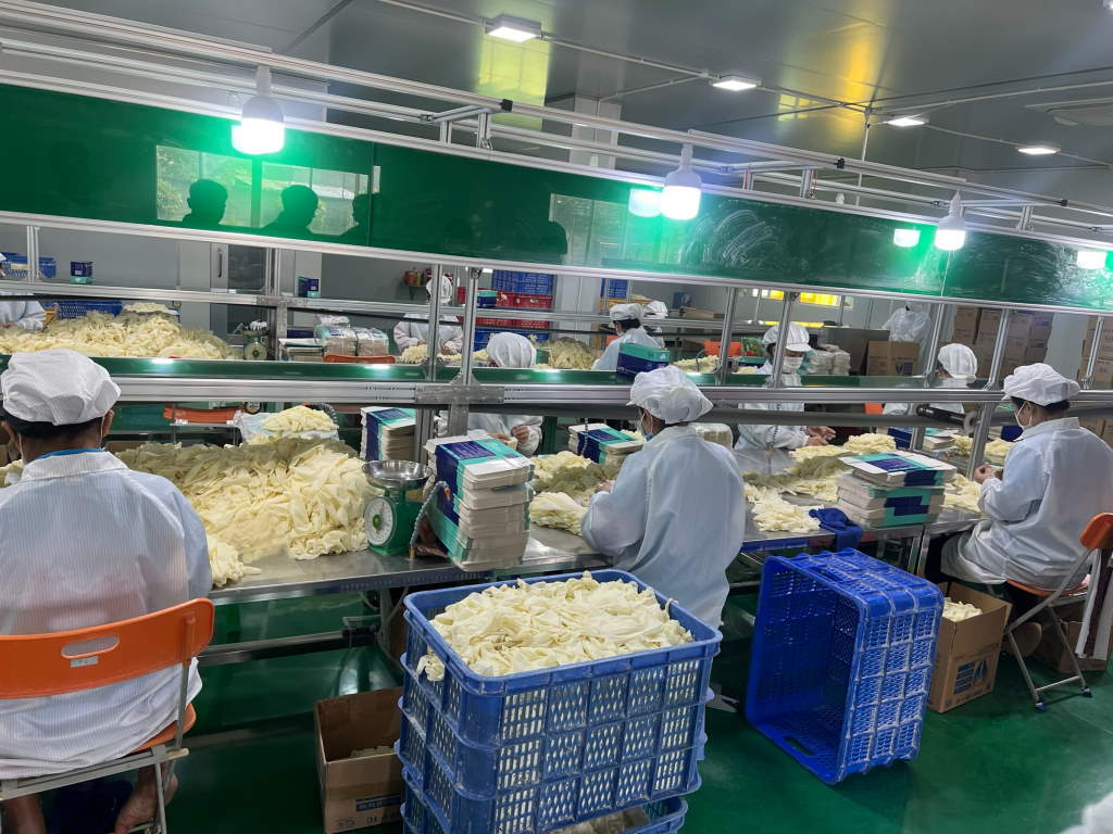 Phòng đóng gói găng tay y tế Duy Hàng đạt tiêu chuẩn phòng sạch